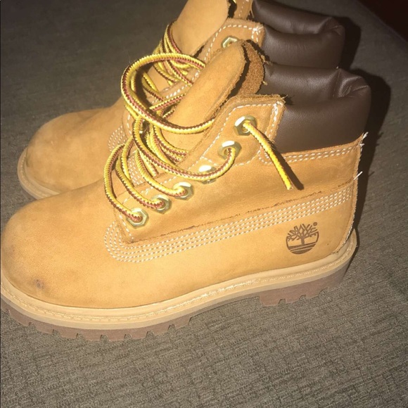 Timberlands - Picture 2 of 4